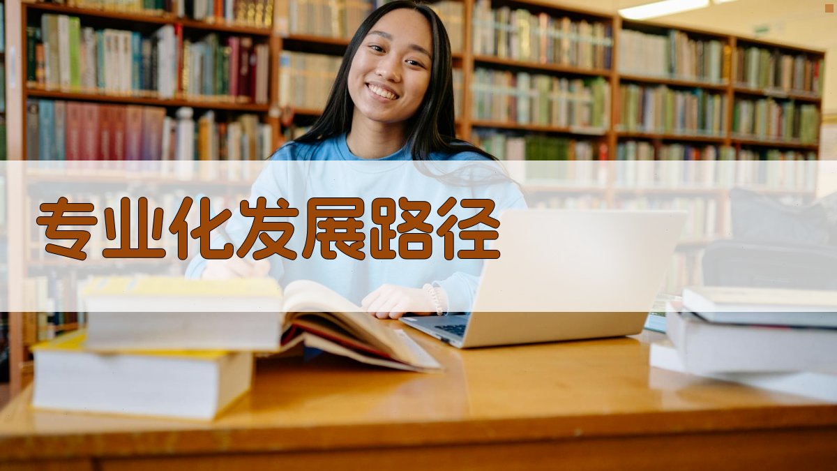 专业化发展路径 图2
