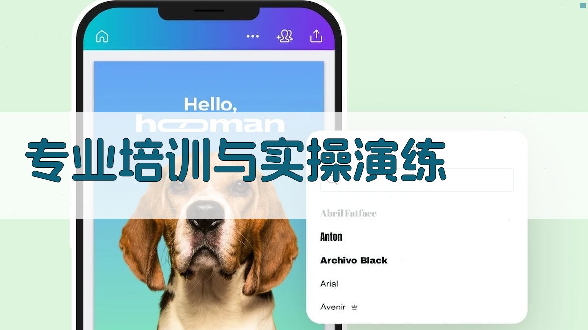 专业培训与实操演练 图3