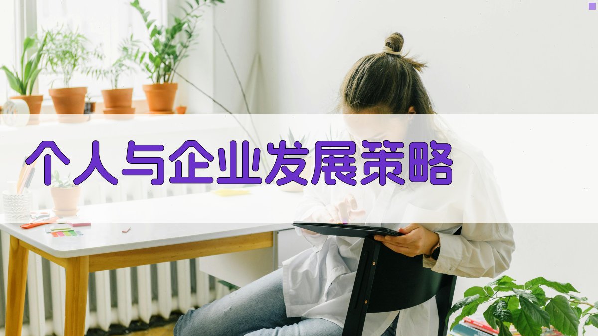 个人与企业发展策略 图4