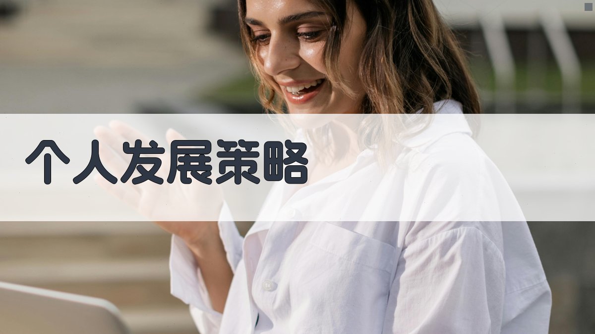 个人发展策略 图2