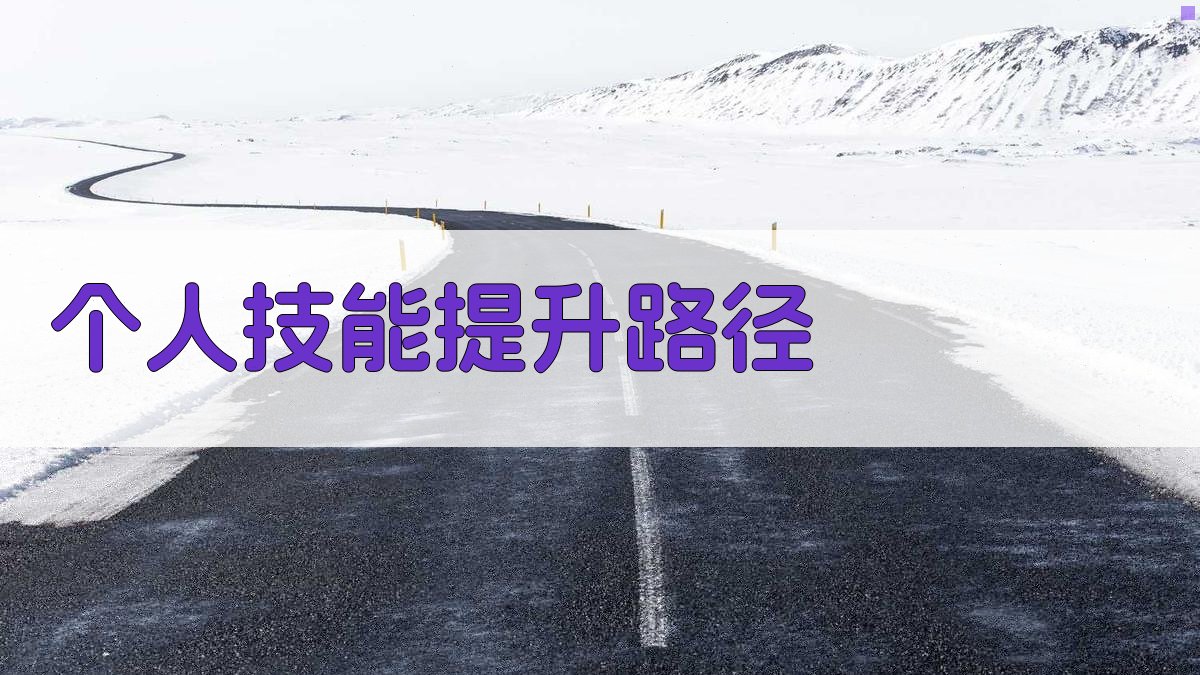 个人技能提升路径 图3