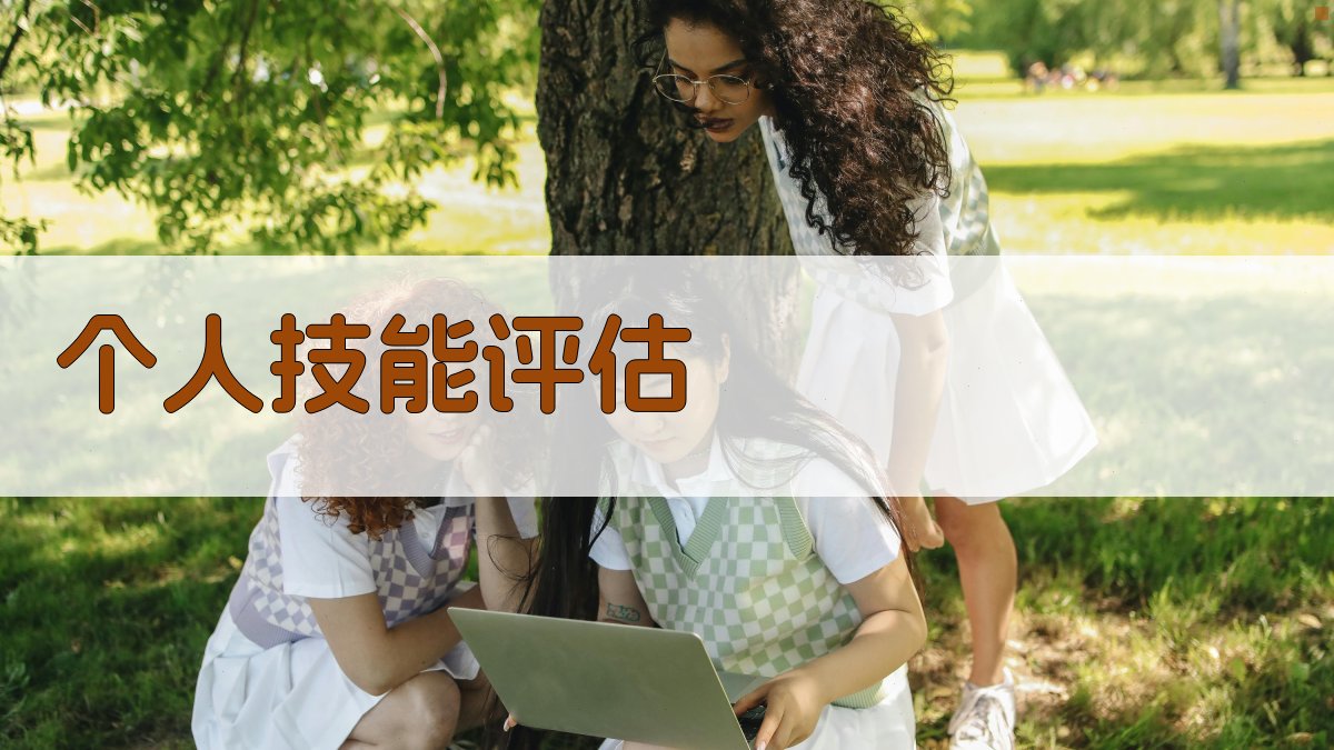 个人技能评估 图1