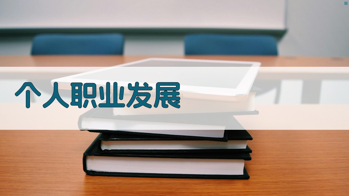 个人职业发展 图4