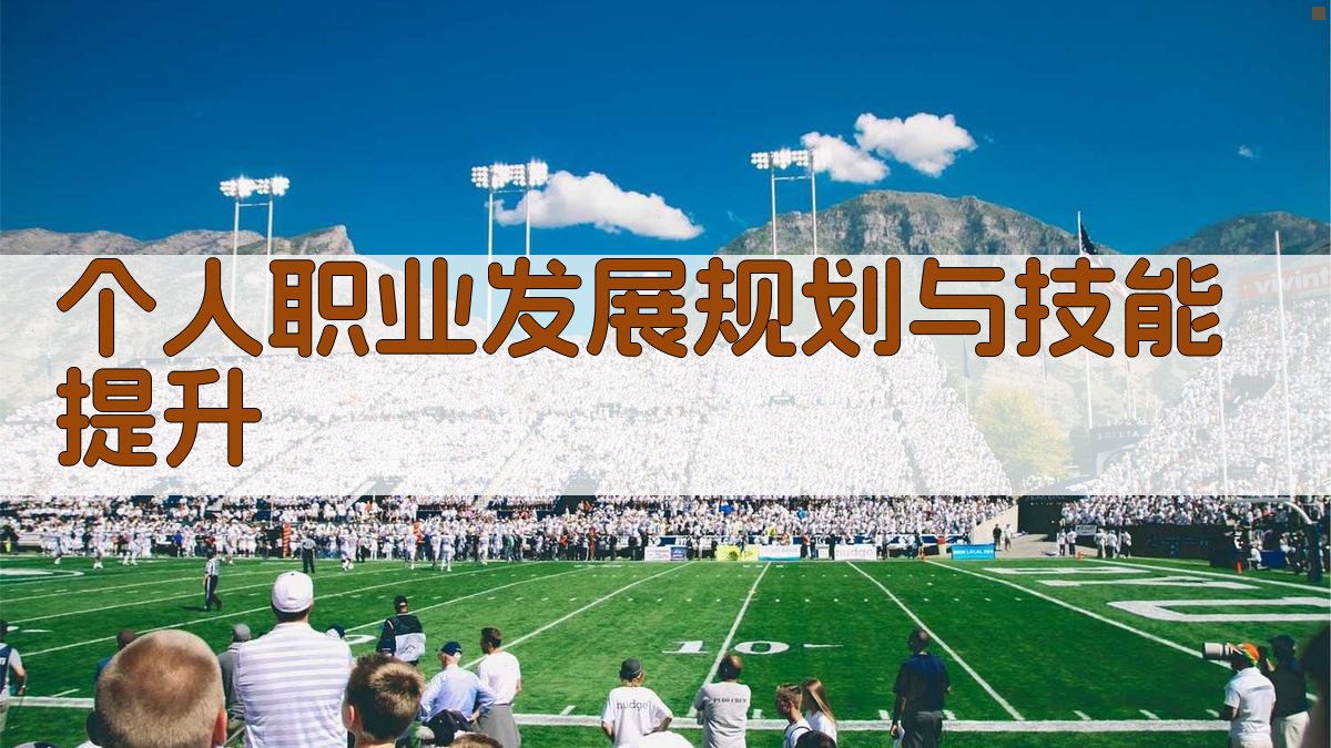 个人职业发展规划与技能提升 图3