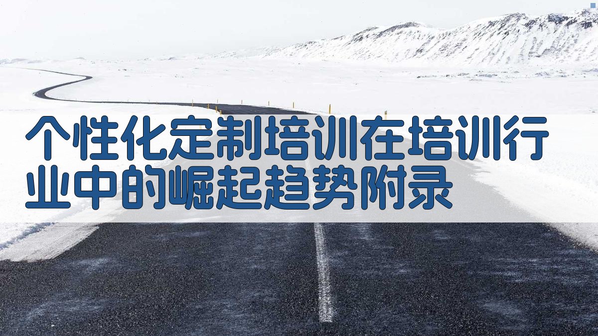 个性化定制培训在培训行业中的崛起趋势 · 附录 图4