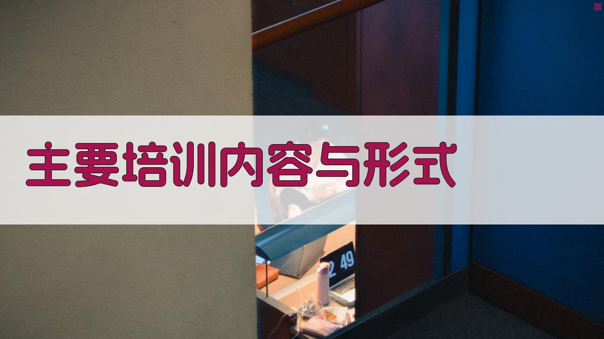 主要培训内容与形式 图3