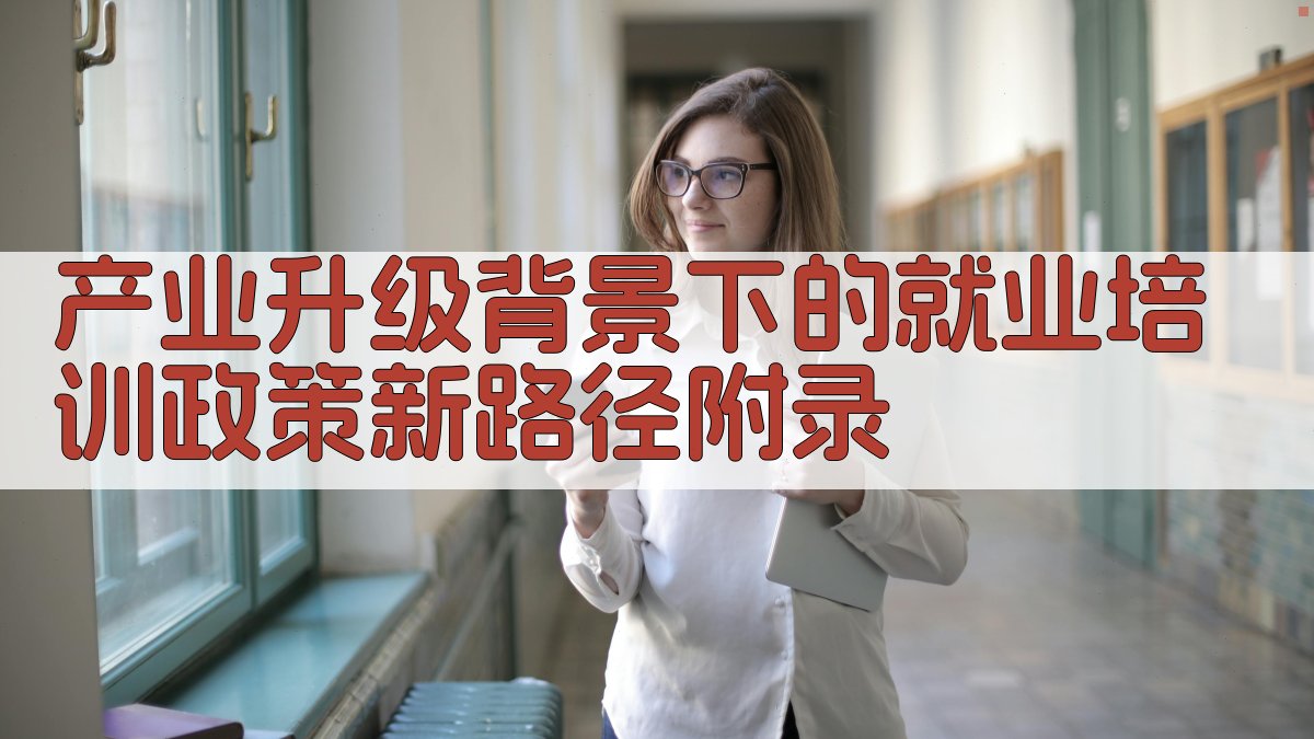 产业升级背景下的就业培训政策新路径 · 附录 图4