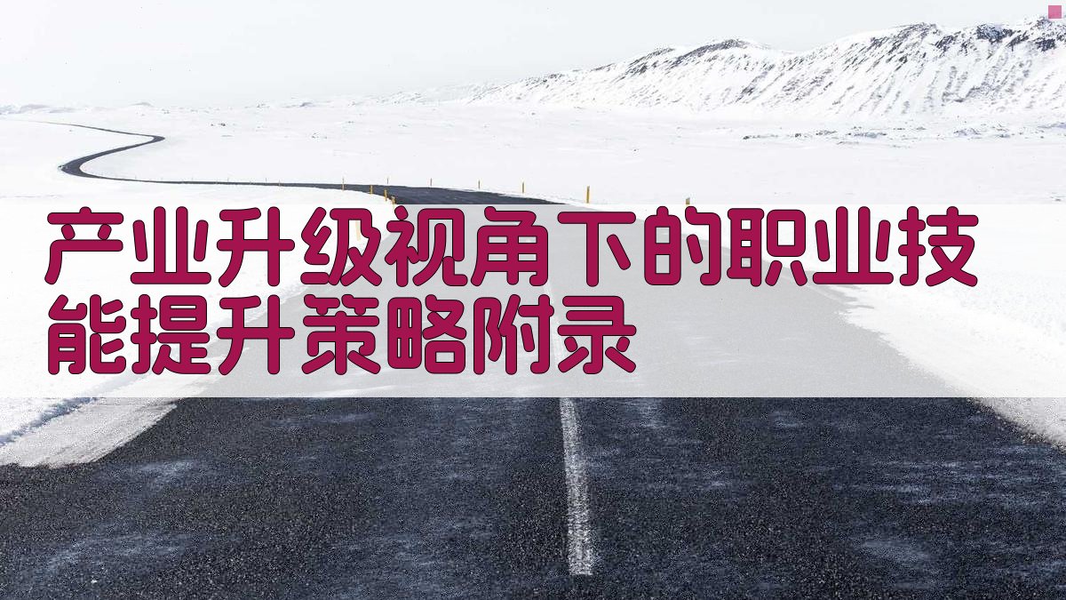 产业升级视角下的职业技能提升策略 · 附录 图4