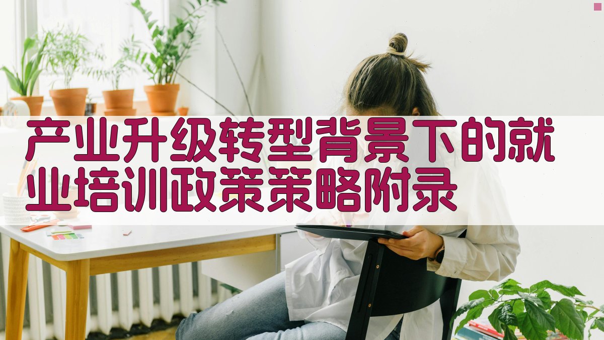 产业升级转型背景下的就业培训政策策略 · 附录 图3
