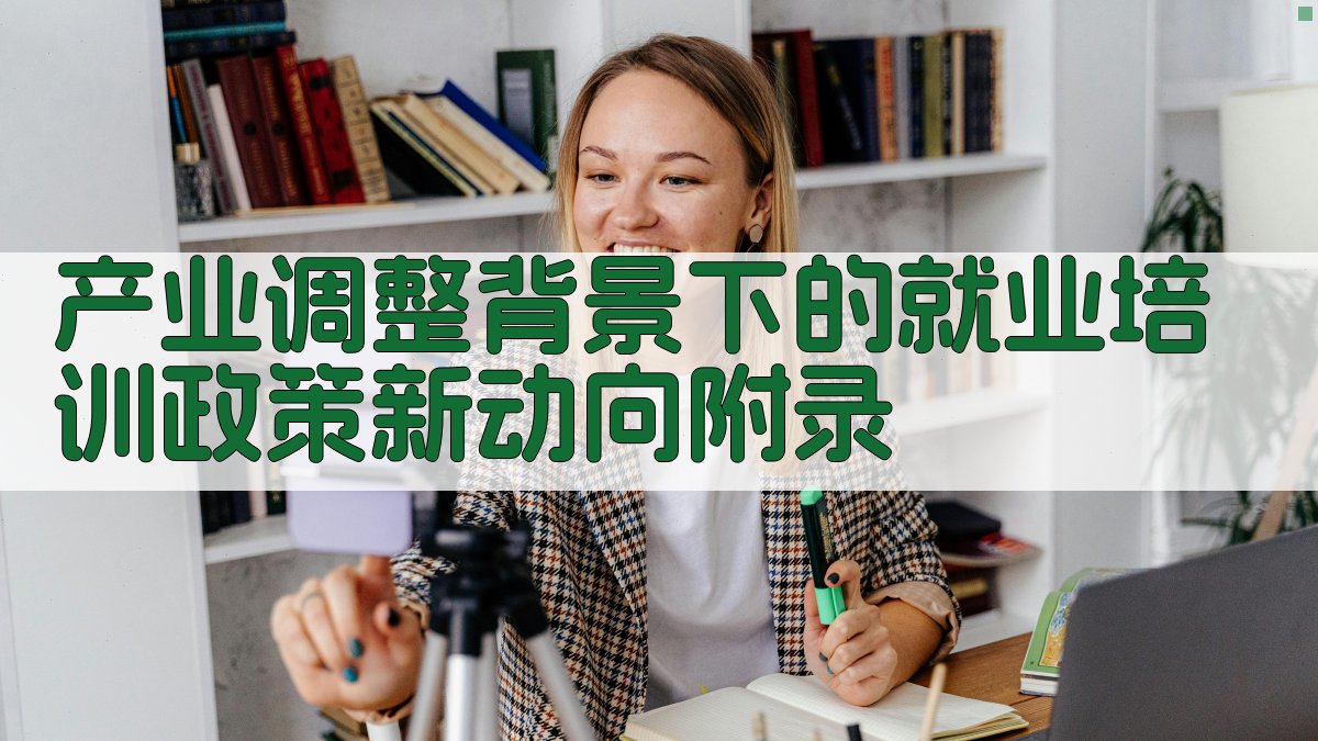 产业调整背景下的就业培训政策新动向 · 附录 图1