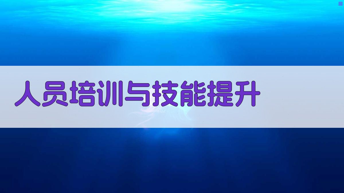 人员培训与技能提升 图2