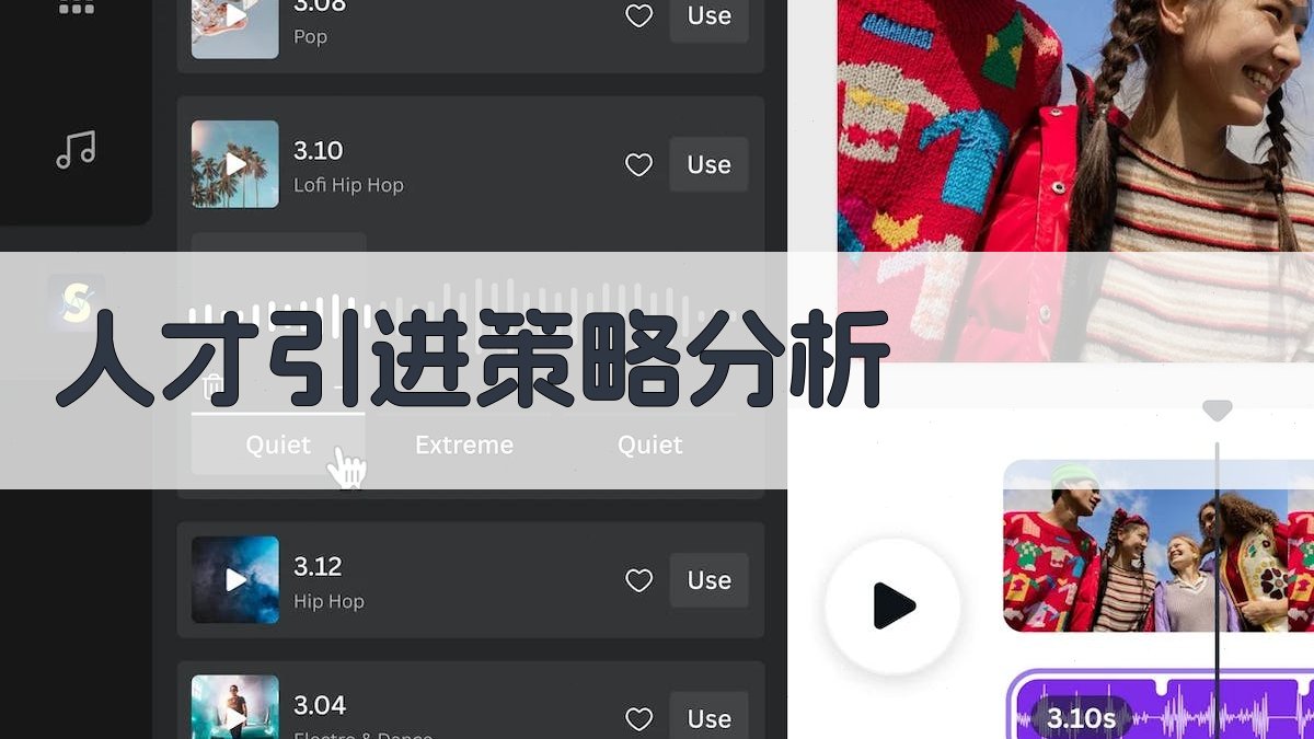 人才引进策略分析 图3