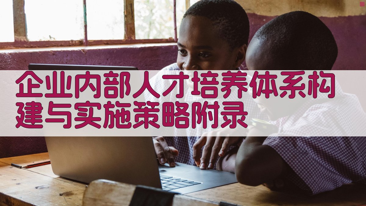 企业内部人才培养体系构建与实施策略 · 附录 图1