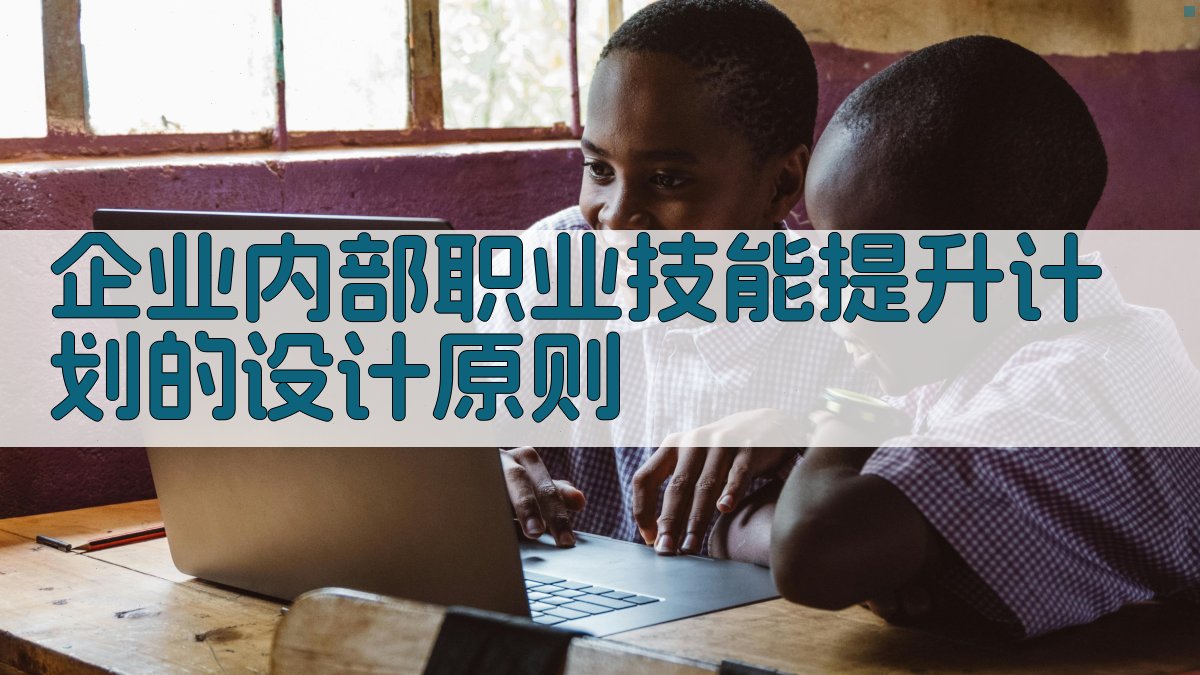 企业内部职业技能提升计划的设计原则 图2
