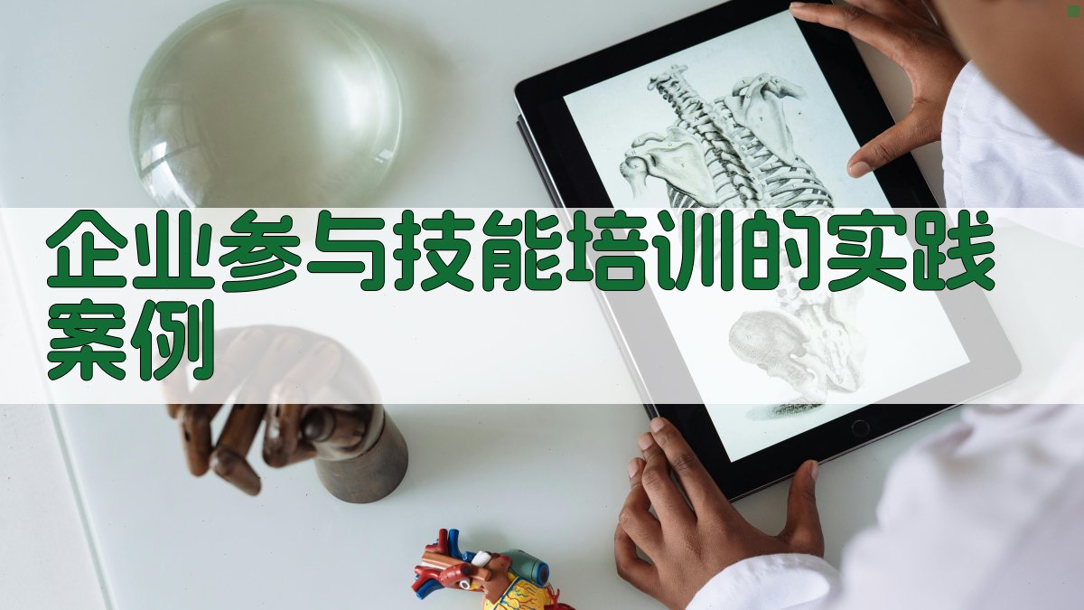 企业参与技能培训的实践案例 图3