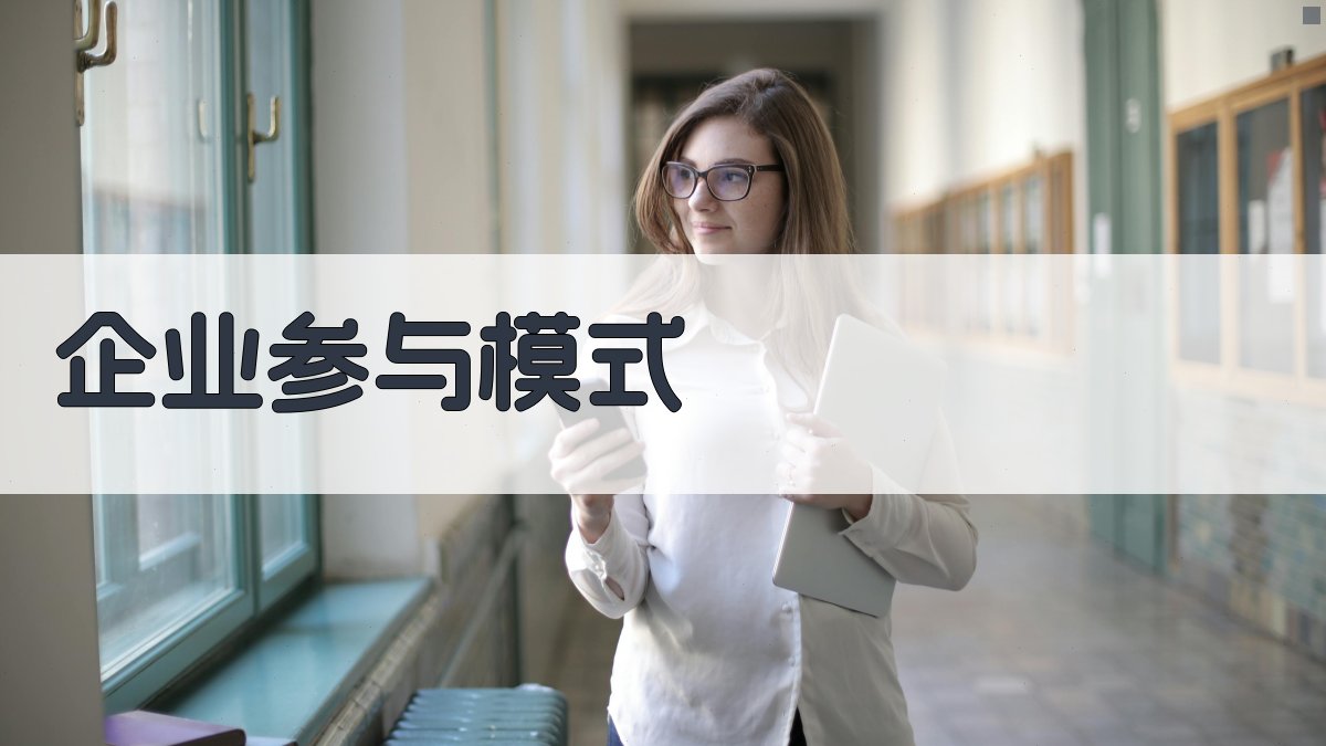 企业参与模式 图2
