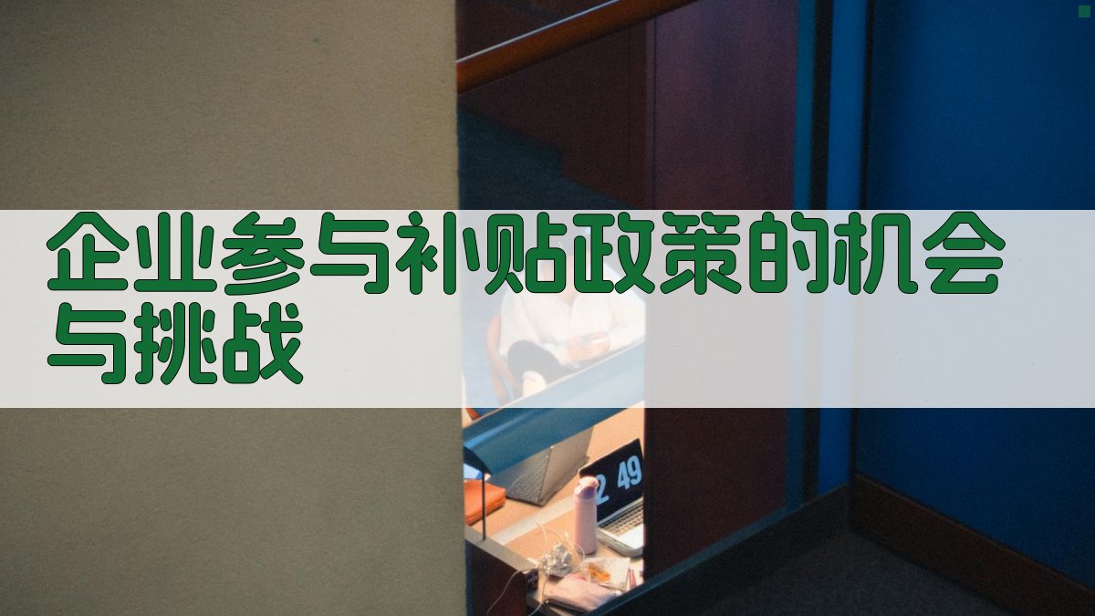 企业参与补贴政策的机会与挑战 图3