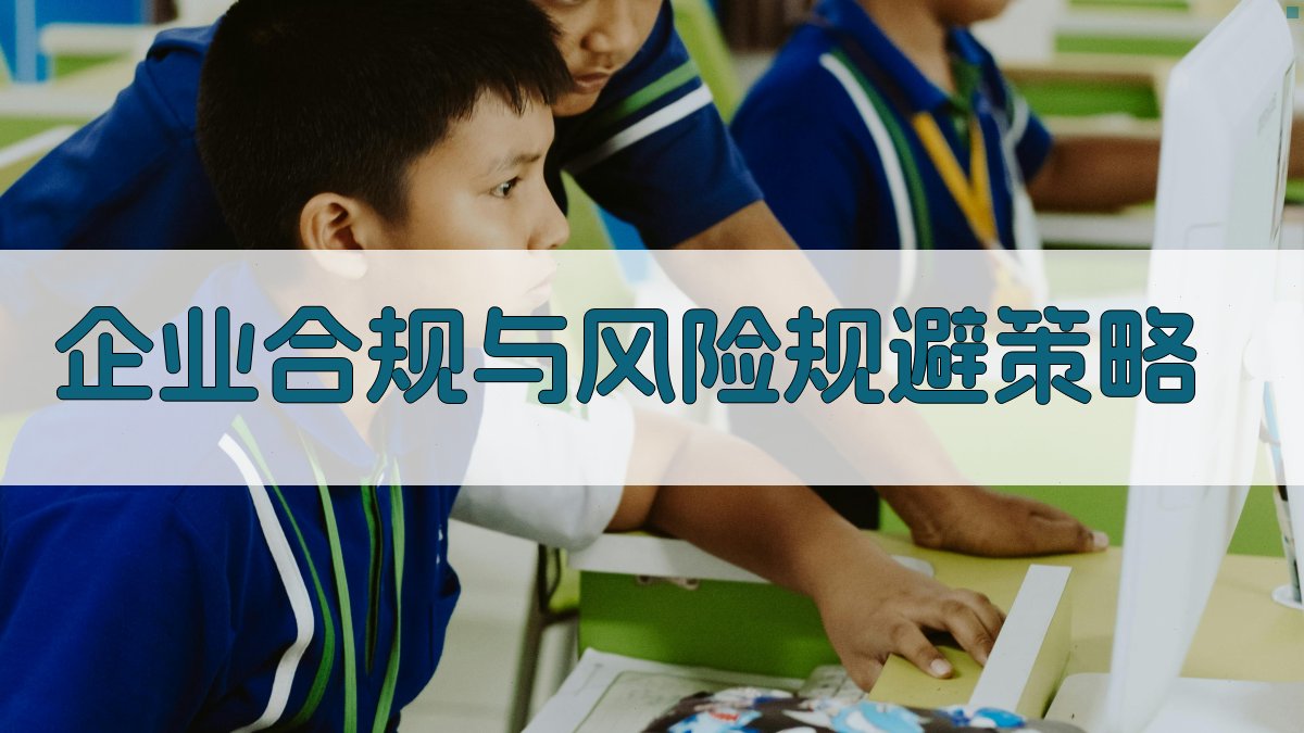 企业合规与风险规避策略 图3