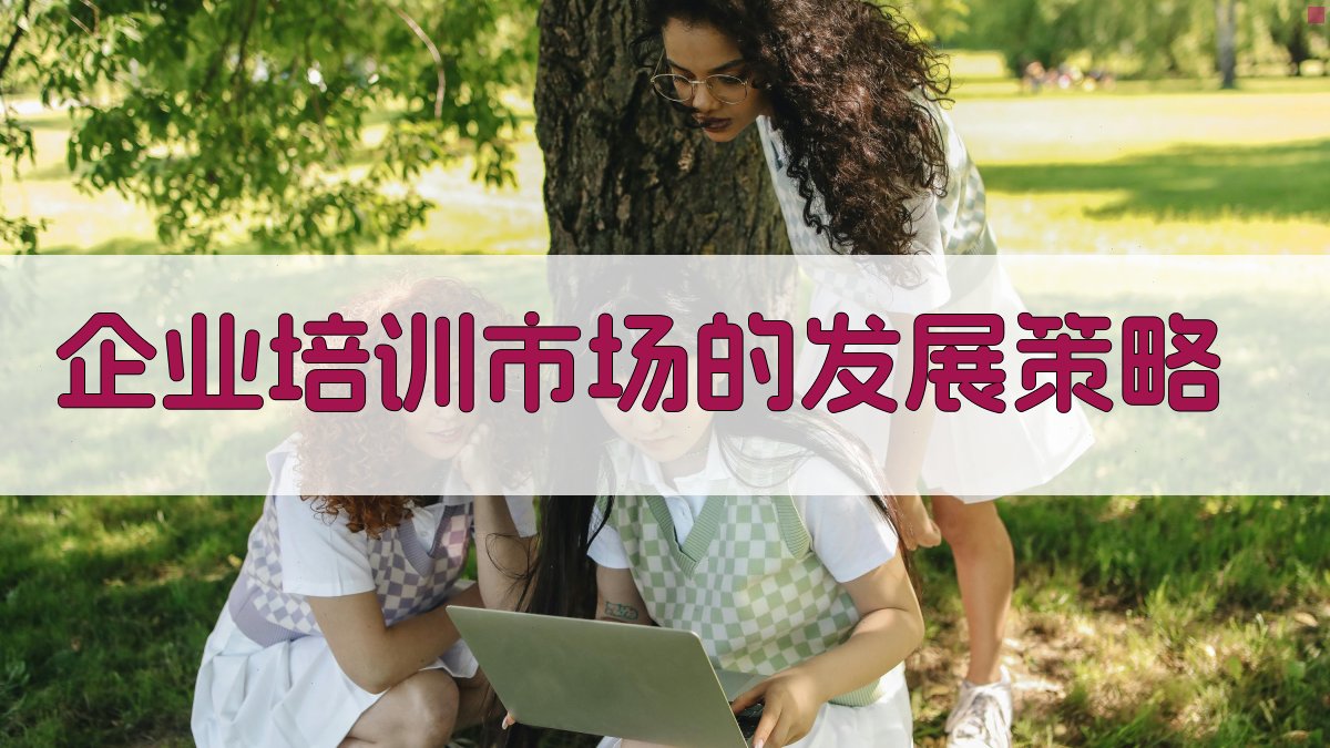 企业培训市场的发展策略 图1