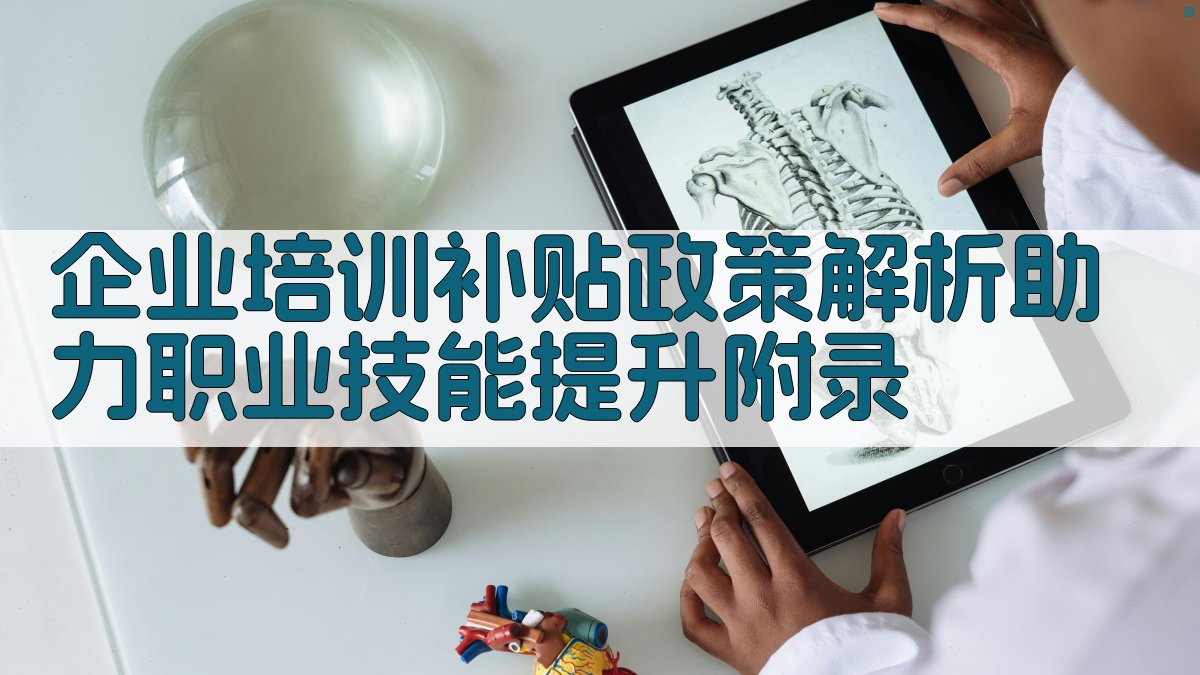 企业培训补贴政策解析助力职业技能提升 · 附录 图4