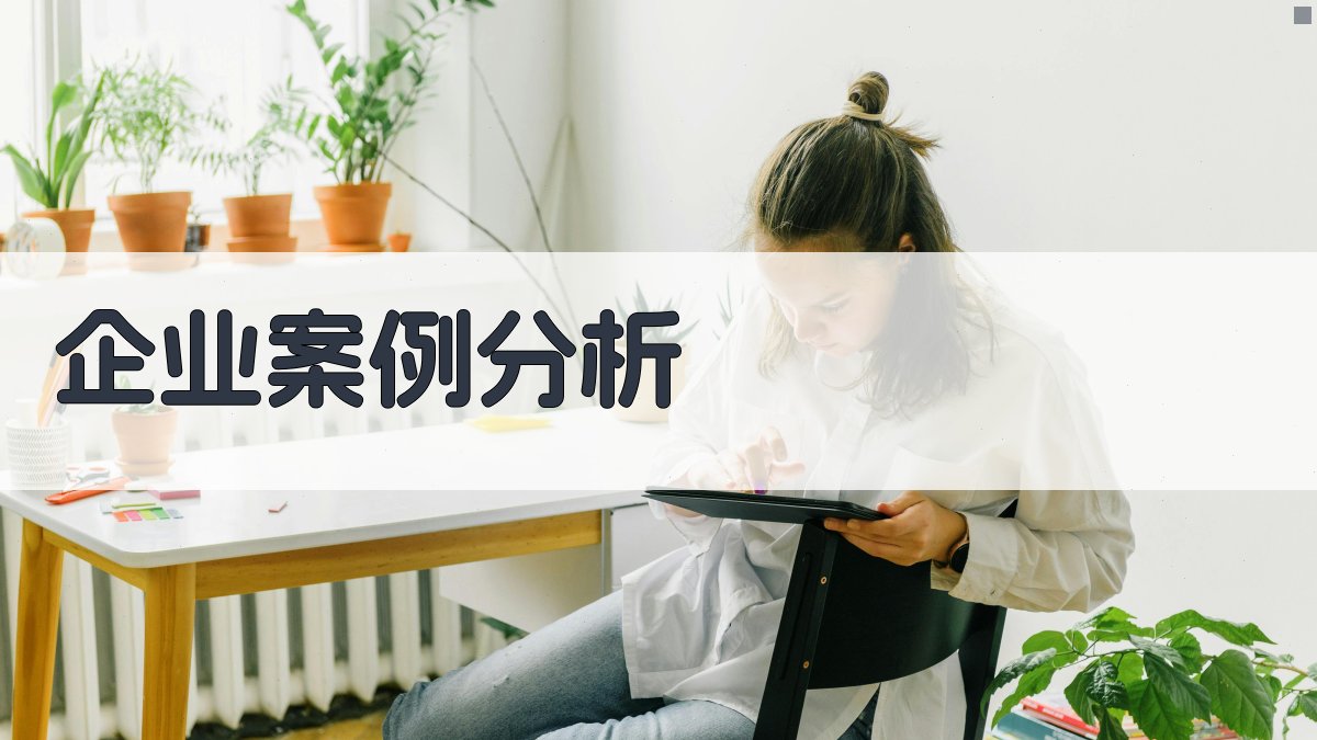 企业案例分析 图3