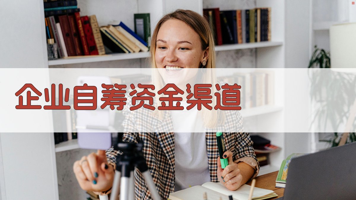 企业自筹资金渠道 图3