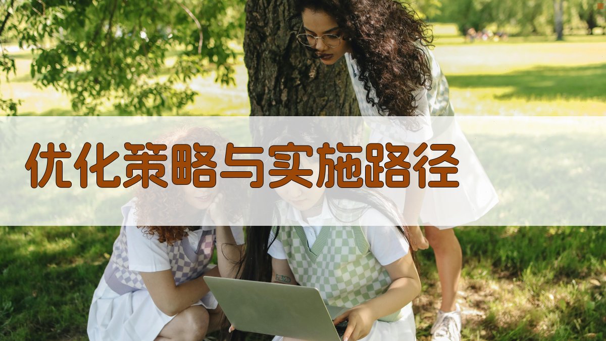 优化策略与实施路径 图2