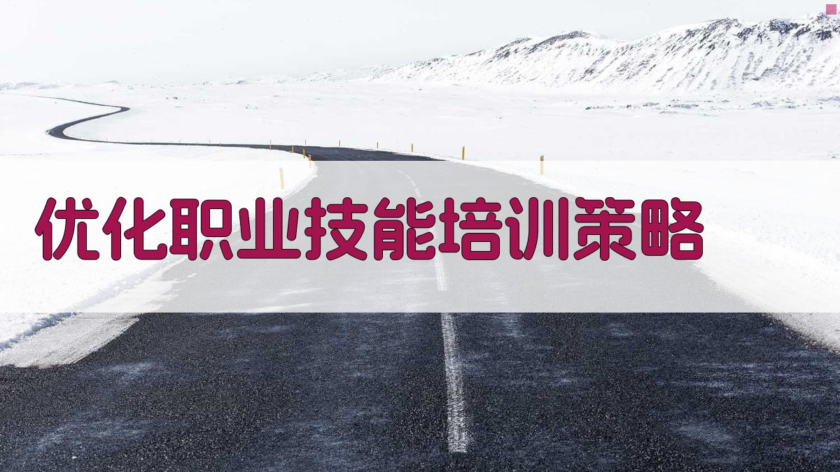 优化职业技能培训策略 图2