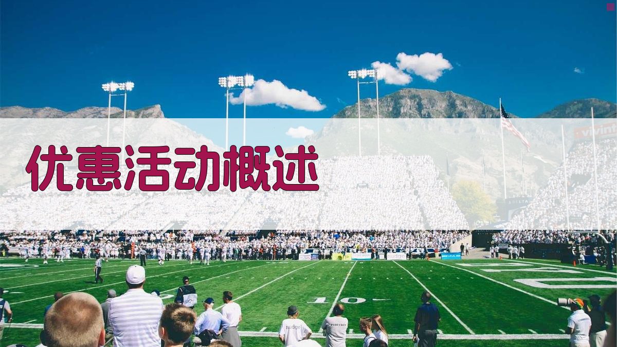 优惠活动概述 图1