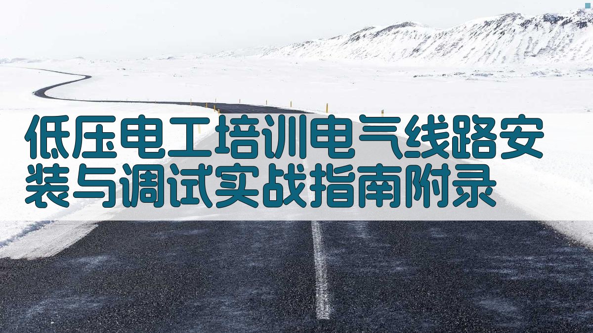 低压电工培训电气线路安装与调试实战指南 · 附录 图4