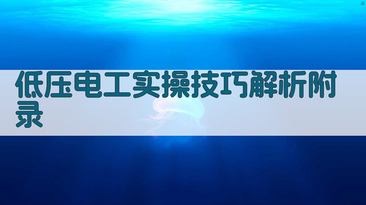 低压电工实操技巧解析 · 附录 图3