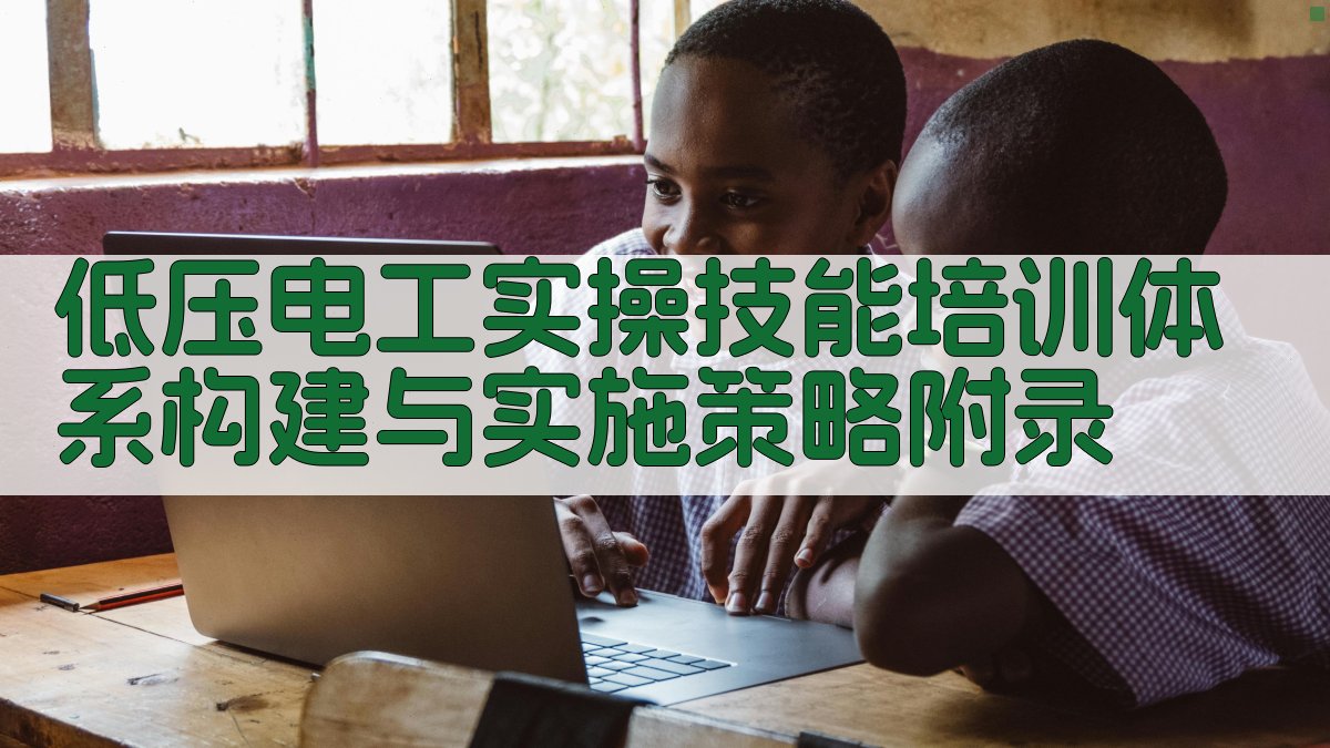 低压电工实操技能培训体系构建与实施策略 · 附录 图5