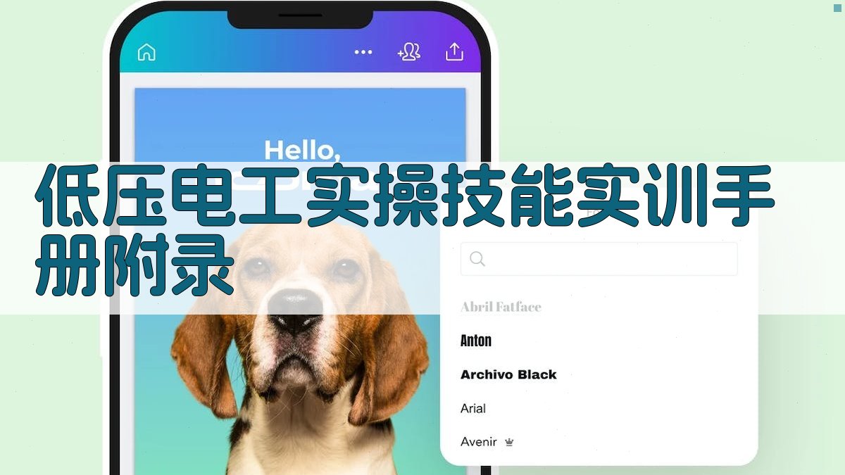 低压电工实操技能实训手册 · 附录 图2