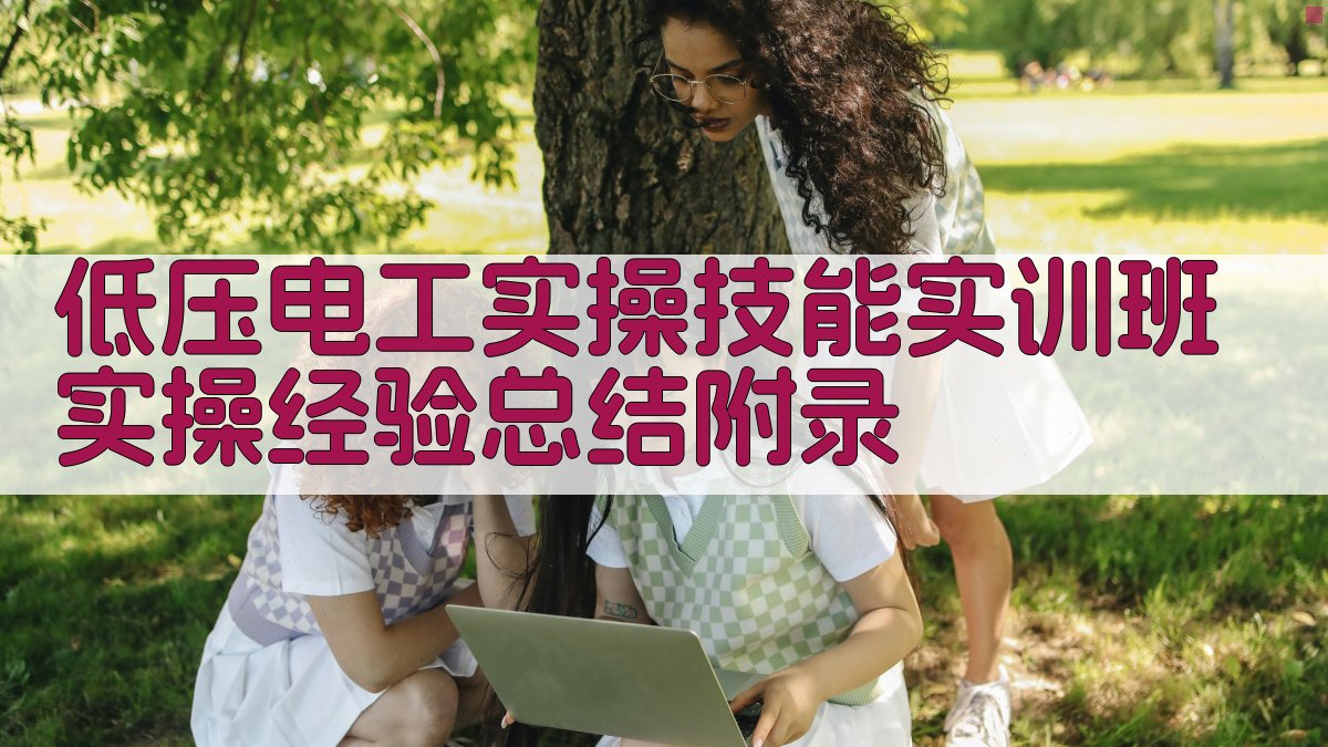 低压电工实操技能实训班实操经验总结 · 附录 图5