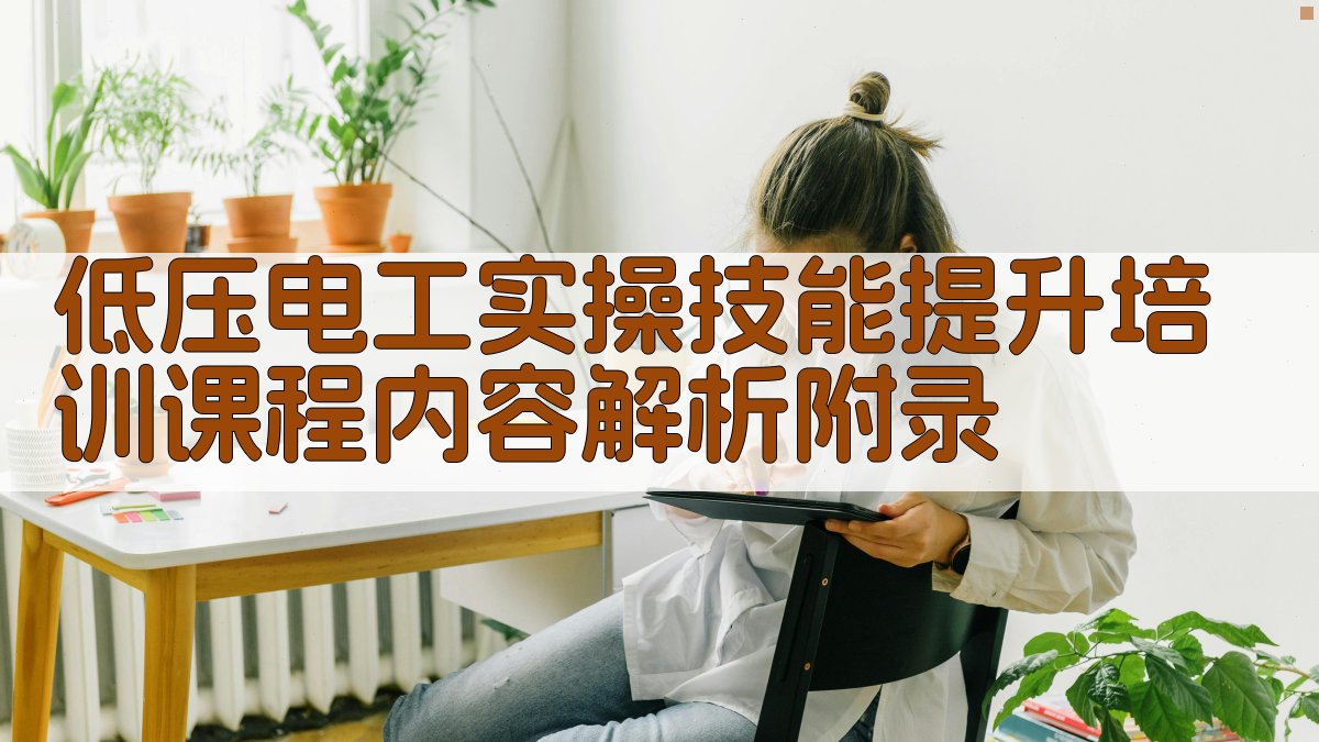 低压电工实操技能提升培训课程内容解析 · 附录 图5
