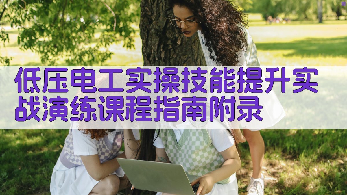 低压电工实操技能提升实战演练课程指南 · 附录 图4