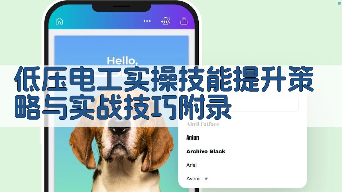低压电工实操技能提升策略与实战技巧 · 附录 图4