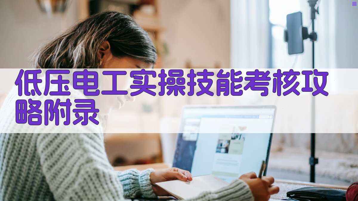 低压电工实操技能考核攻略 · 附录 图3