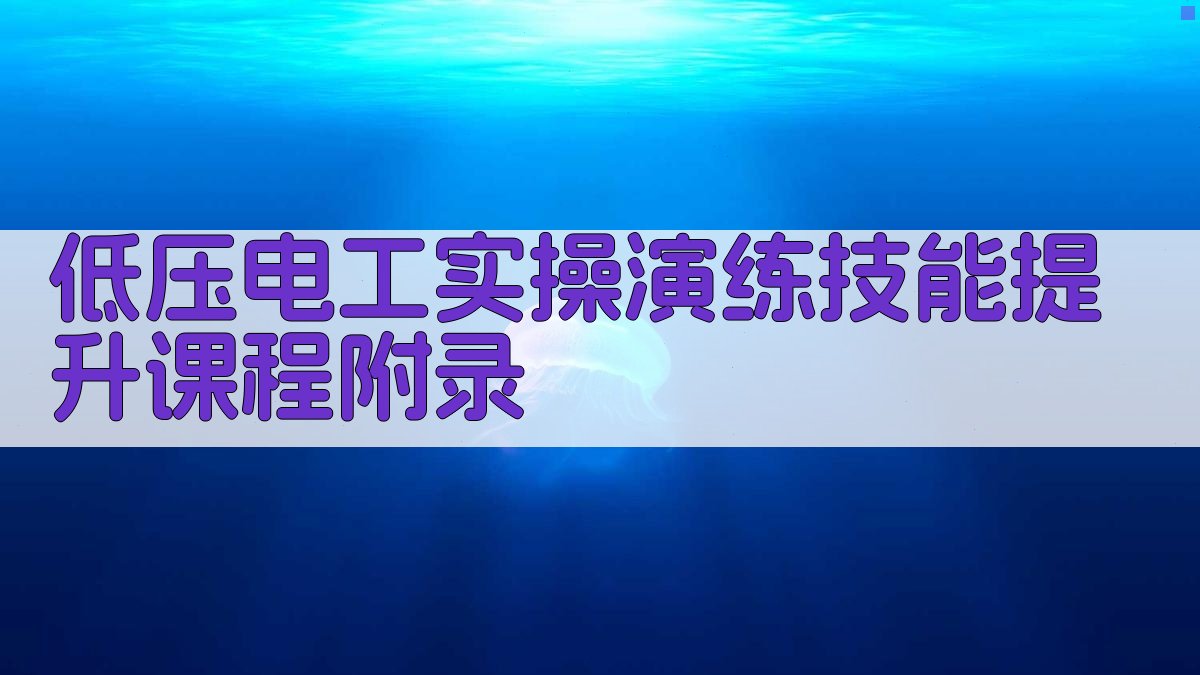 低压电工实操演练技能提升课程 · 附录 图5