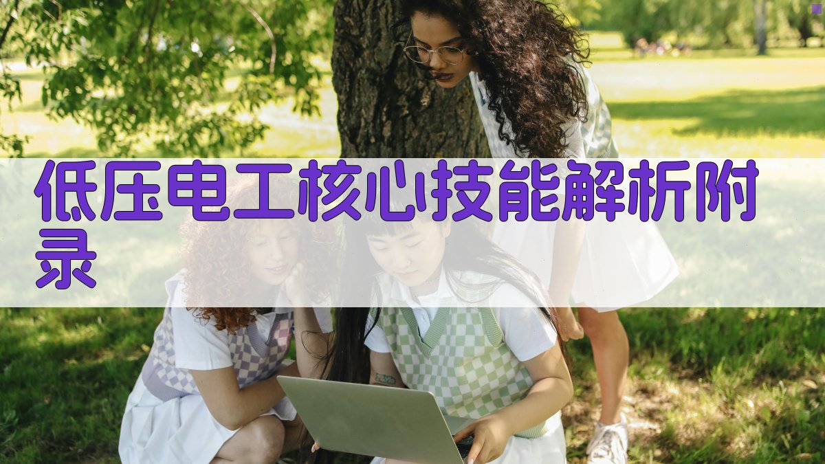 低压电工核心技能解析 · 附录 图4