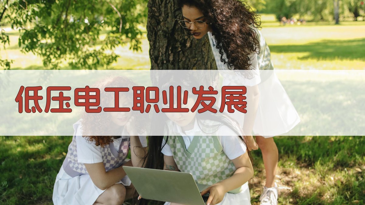 低压电工职业发展 图3