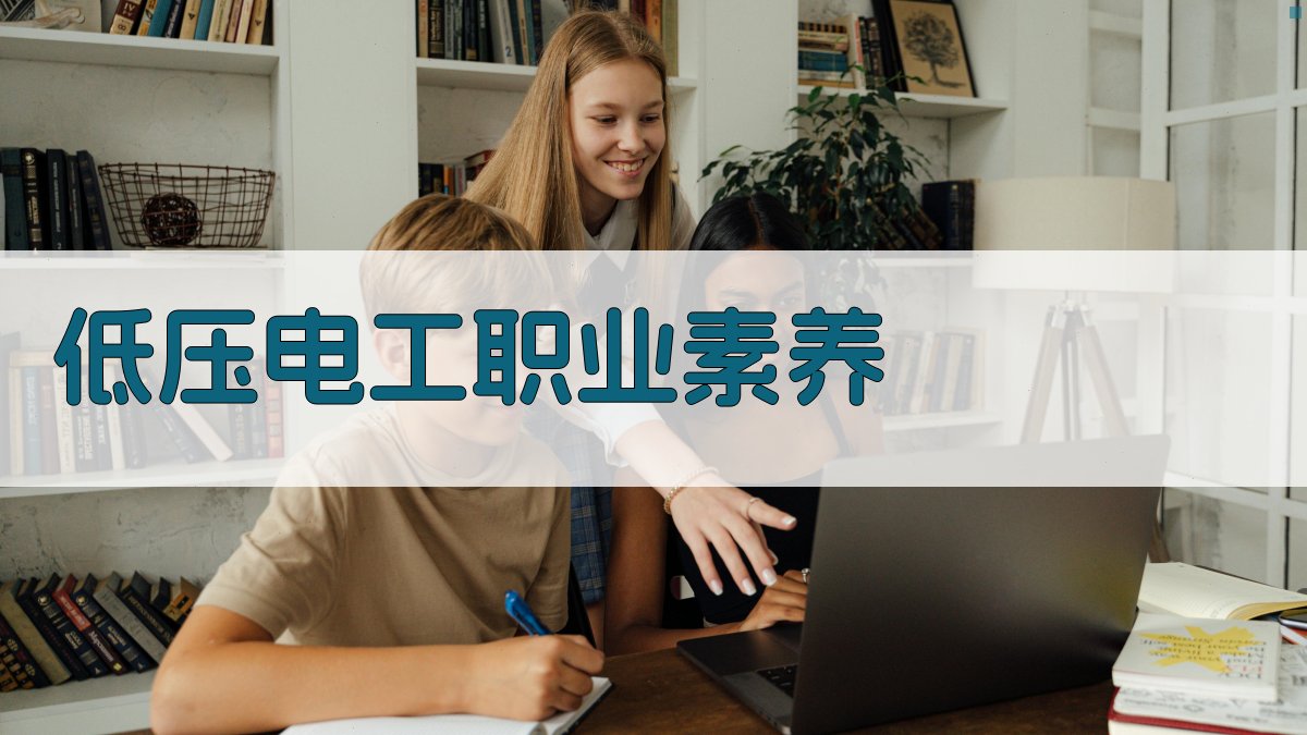 低压电工职业素养 图2