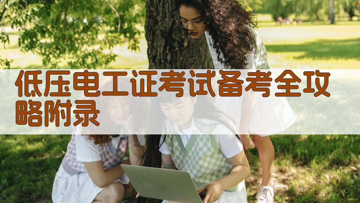 低压电工证考试备考全攻略 · 附录 图4