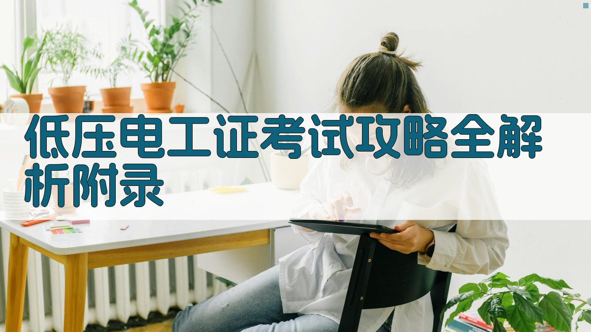 低压电工证考试攻略全解析 · 附录 图4