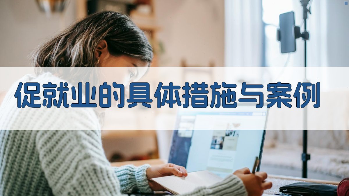 促就业的具体措施与案例 图2