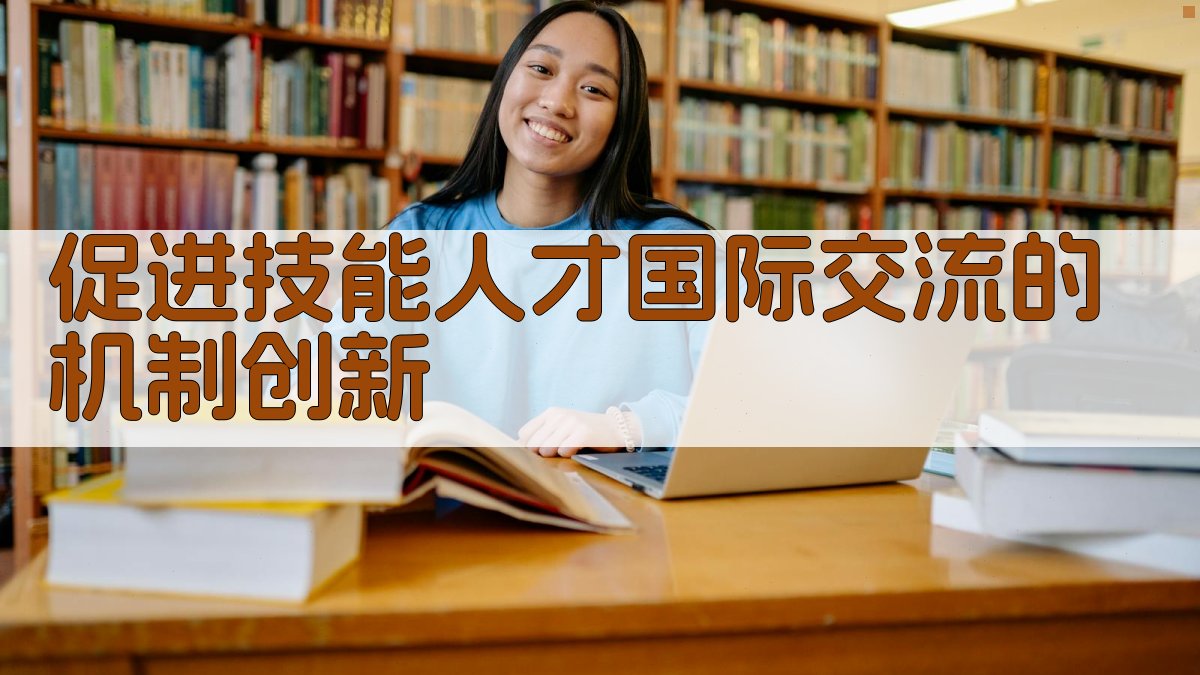 促进技能人才国际交流的机制创新 图3