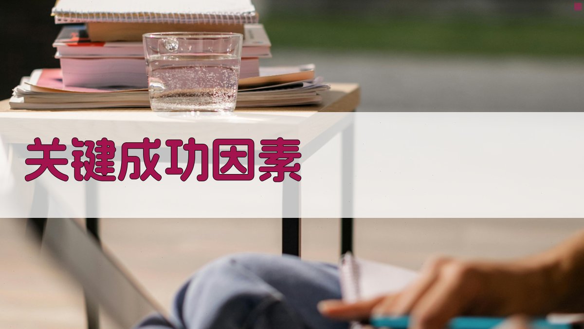 关键成功因素 图2