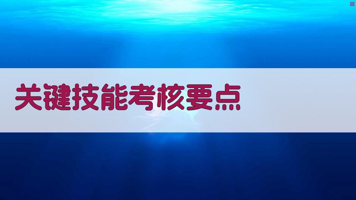 关键技能考核要点 图2