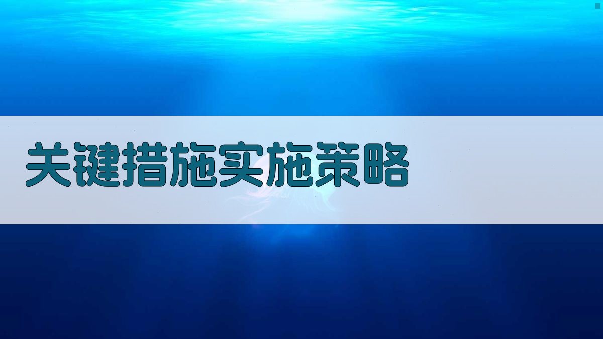 关键措施实施策略 图2