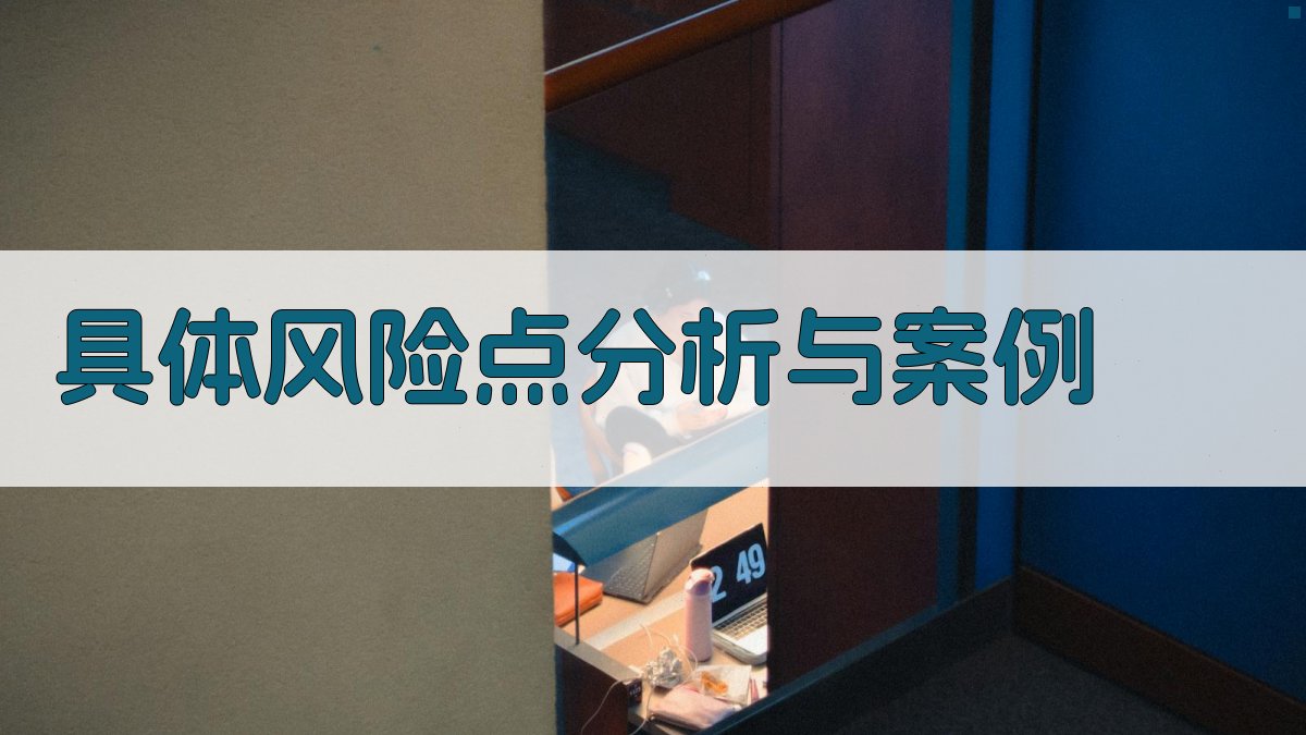 具体风险点分析与案例 图1